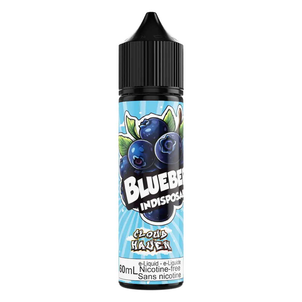 BLUEBERRY - INDISPOSABLE SALTS 60ML [AB]